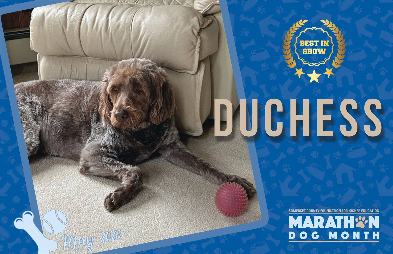 Somerset County landscape